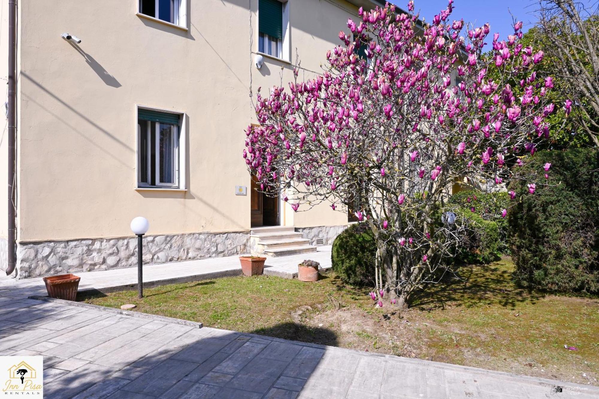 Appartement 2 - Sunny Corner Flat